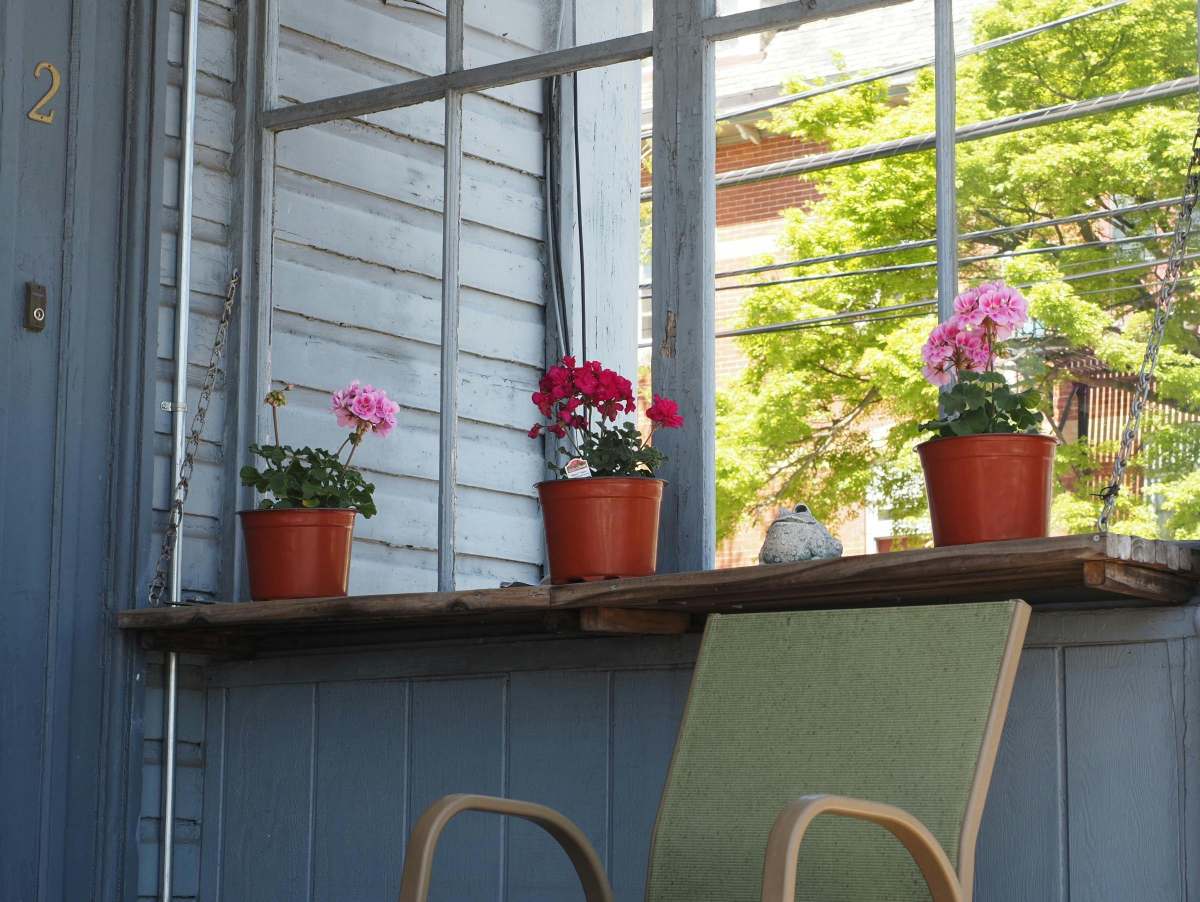 Garden & Lawn