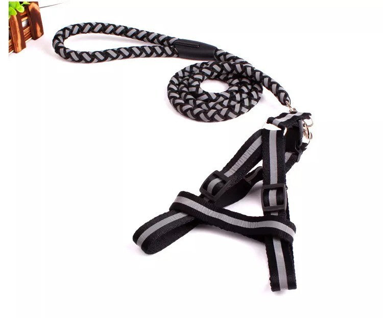 Padded Handle Outdoor Dog Leash Lead For Pets Puppy Cat (Black)