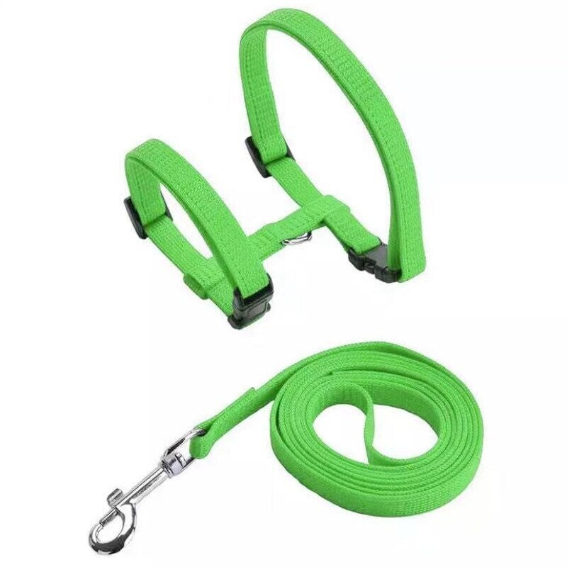 Cat Harness Collar Leash For Pet Cat Outdoor Walking (Green)