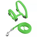 Cat Harness Collar Leash For Pet Cat Outdoor Walking (Sky Blue)