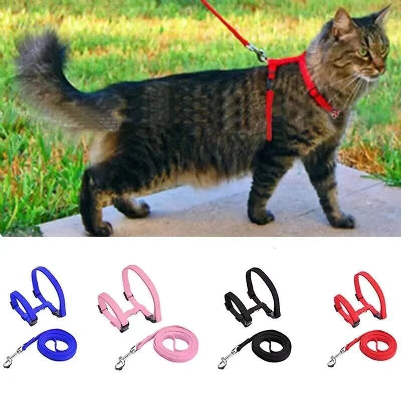 Cat Harness Collar Leash For Pet Cat Outdoor Walking (Orange)