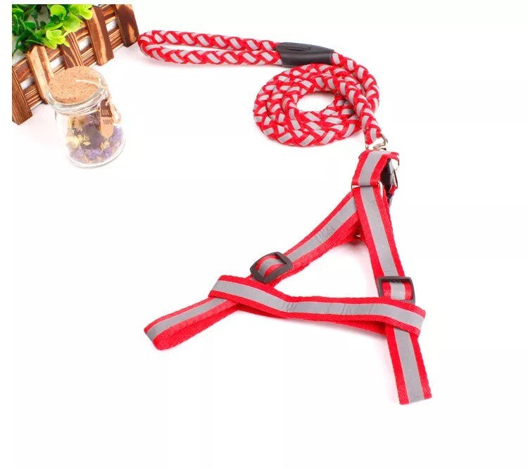 Padded Handle Outdoor Dog Leash Lead For Pets Puppy Cat (Red)