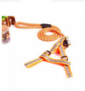 Padded Handle Outdoor Dog Leash Lead For Pets Puppy Cat (Orange)
