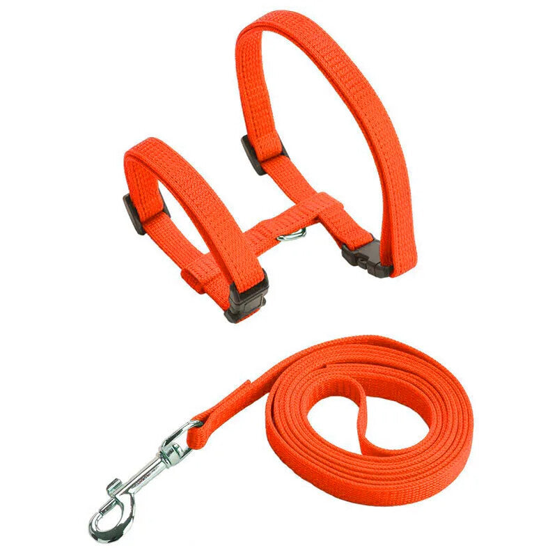Cat Harness Collar Leash For Pet Cat Outdoor Walking (Orange)