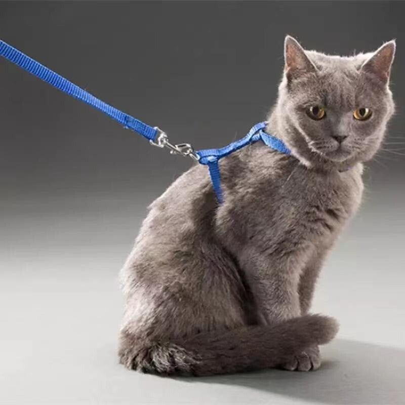 Cat Harness Collar Leash For Pet Cat Outdoor Walking (Green)