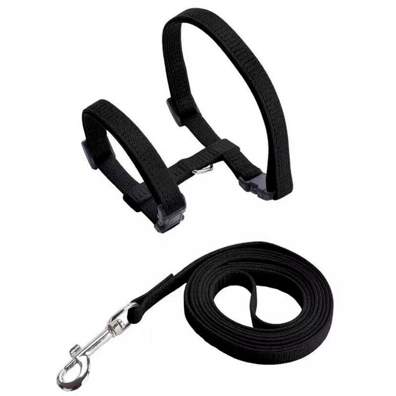 Cat Harness Collar Leash For Pet Cat Outdoor Walking (Black)