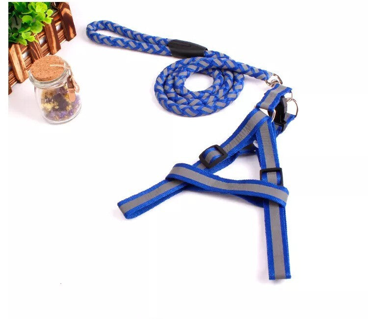 Padded Handle Outdoor Dog Leash Lead For Pets Puppy Cat (Blue, 1.2m)