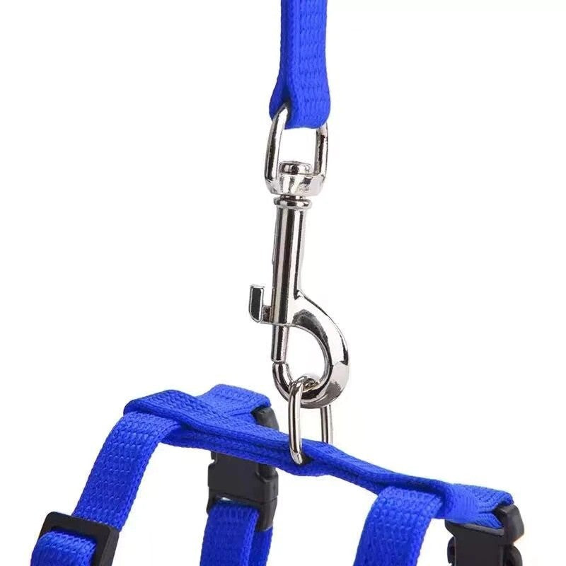 Cat Harness Collar Leash For Pet Cat Outdoor Walking (Green)